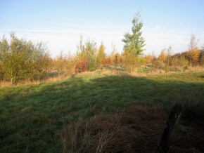 Gimswood 2011