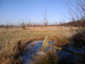 Gimswood 2010